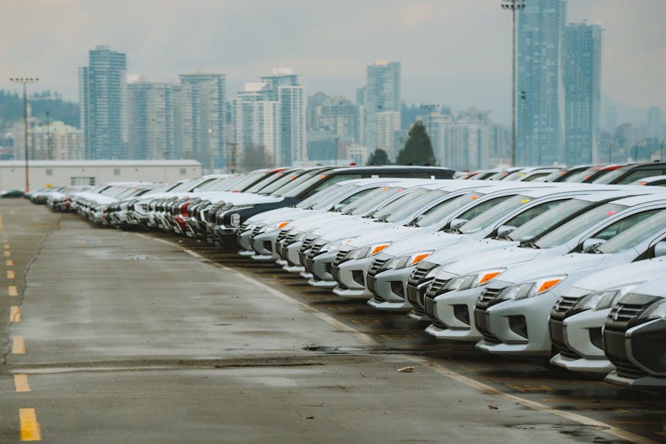 Row of used vehicles parked side by side on a dealer lot